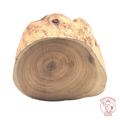 Natural Sandalwood Log Block《天然檀香木 》